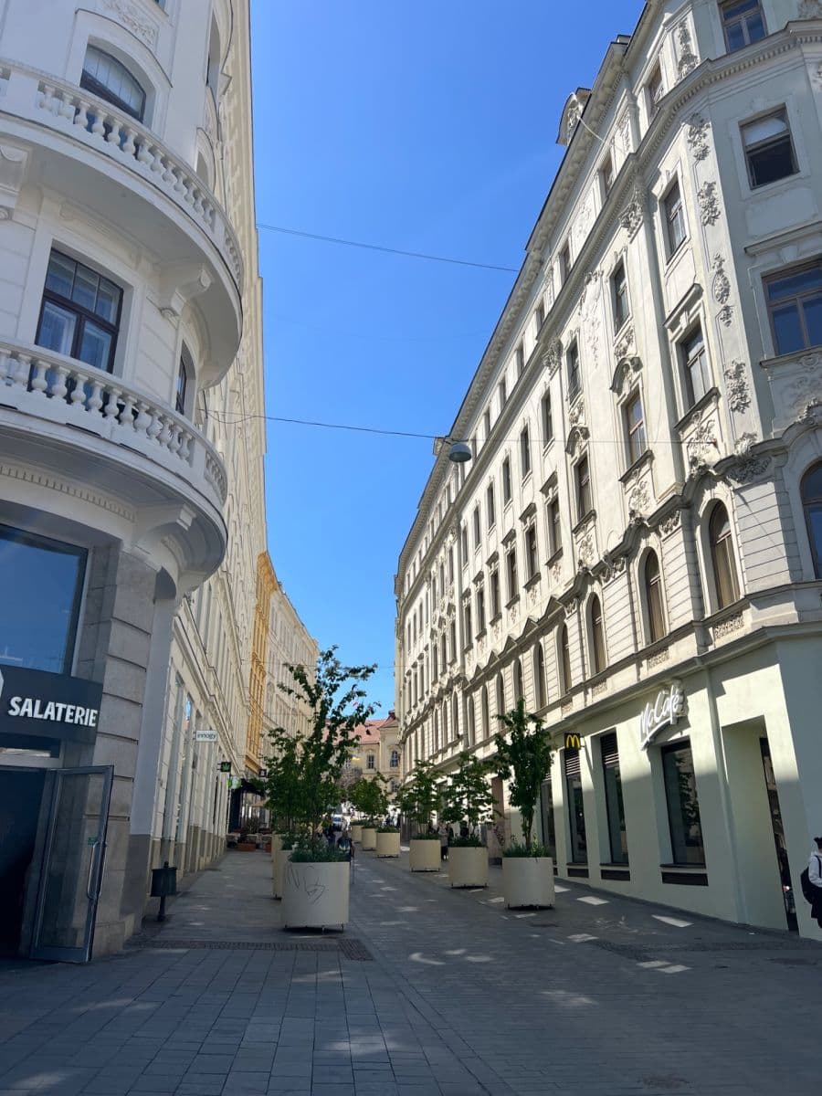 Pronájem bytu 2+1 94 m², náměstí Svobody, Brno, Jihomoravský kraj Pronájem bytu 2+1 94 m², náměstí Svobody, Brno, Jihomoravský kraj