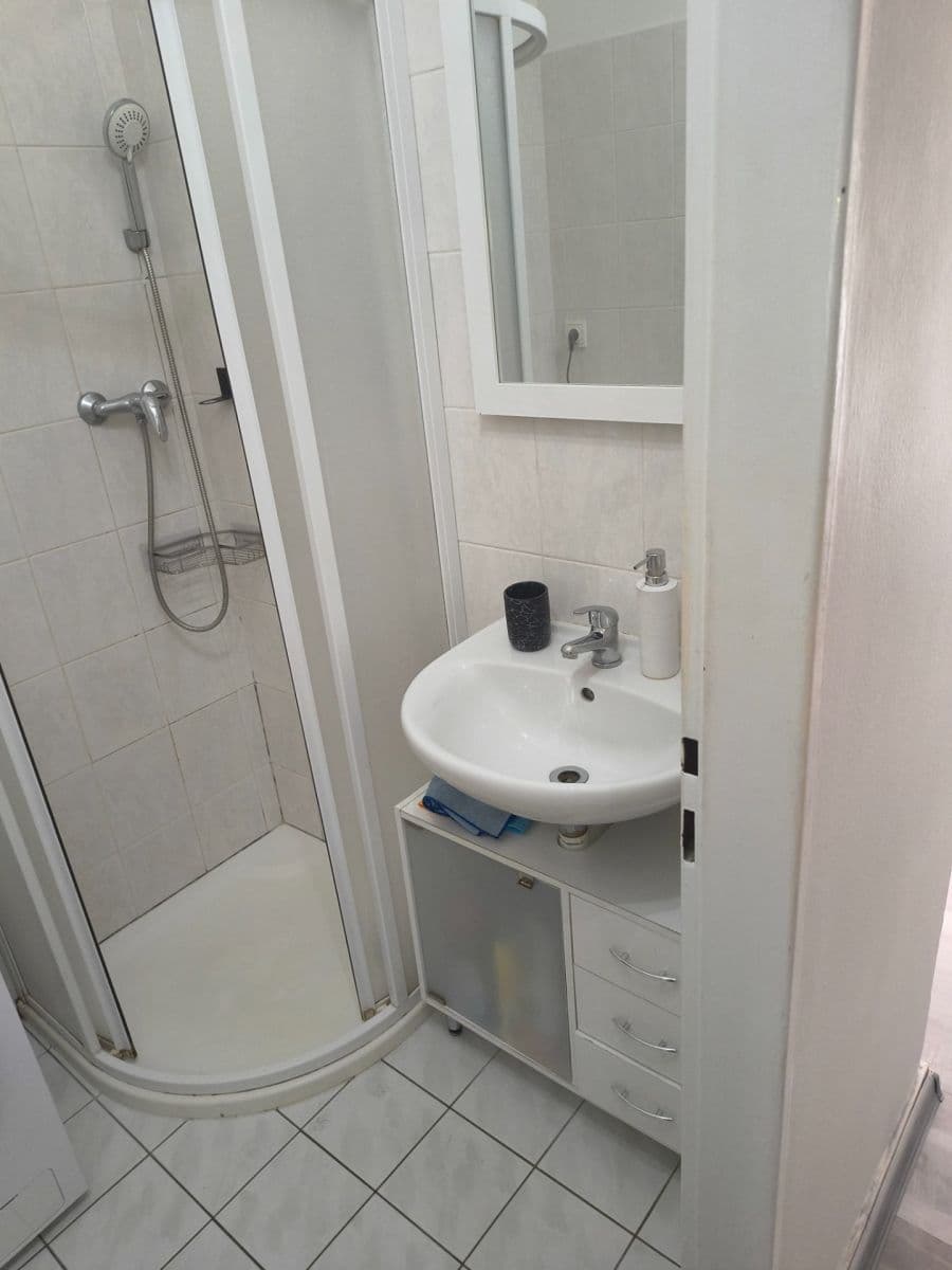 Pronájem bytu 1+1 38 m², Seifertova, Praha, Praha Pronájem bytu 1+1 38 m², Seifertova, Praha, Praha