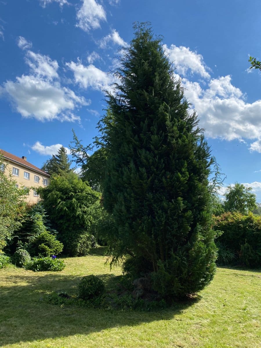 Prodej pozemku 449 m², Dolní Rožínka, Kraj Vysočina Prodej pozemku 449 m², Dolní Rožínka, Kraj Vysočina
