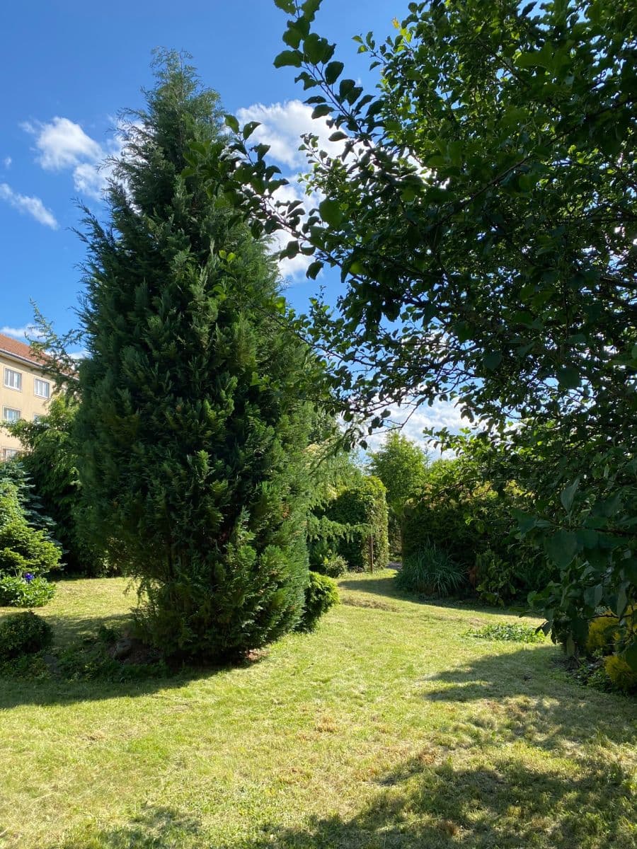 Prodej pozemku 449 m², Dolní Rožínka, Kraj Vysočina Prodej pozemku 449 m², Dolní Rožínka, Kraj Vysočina