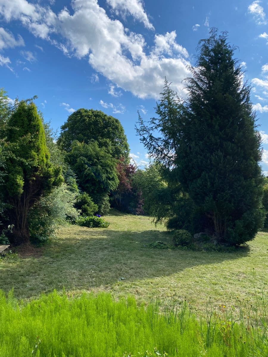 Prodej pozemku 449 m², Dolní Rožínka, Kraj Vysočina Prodej pozemku 449 m², Dolní Rožínka, Kraj Vysočina