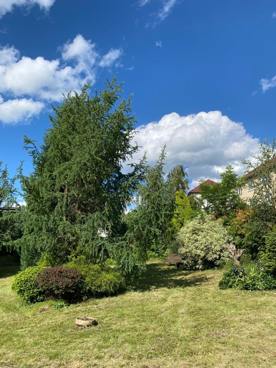 Prodej pozemku 449 m², Dolní Rožínka, Kraj Vysočina Prodej pozemku 449 m², Dolní Rožínka, Kraj Vysočina