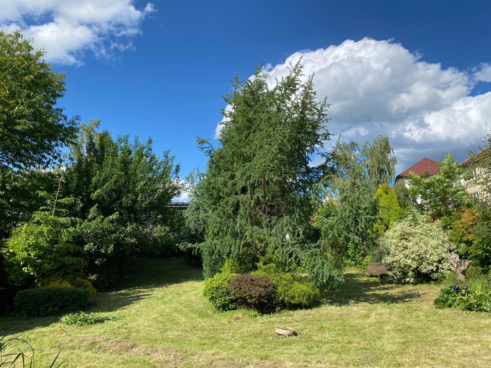 Prodej pozemku 449 m², Dolní Rožínka, Kraj Vysočina Prodej pozemku 449 m², Dolní Rožínka, Kraj Vysočina