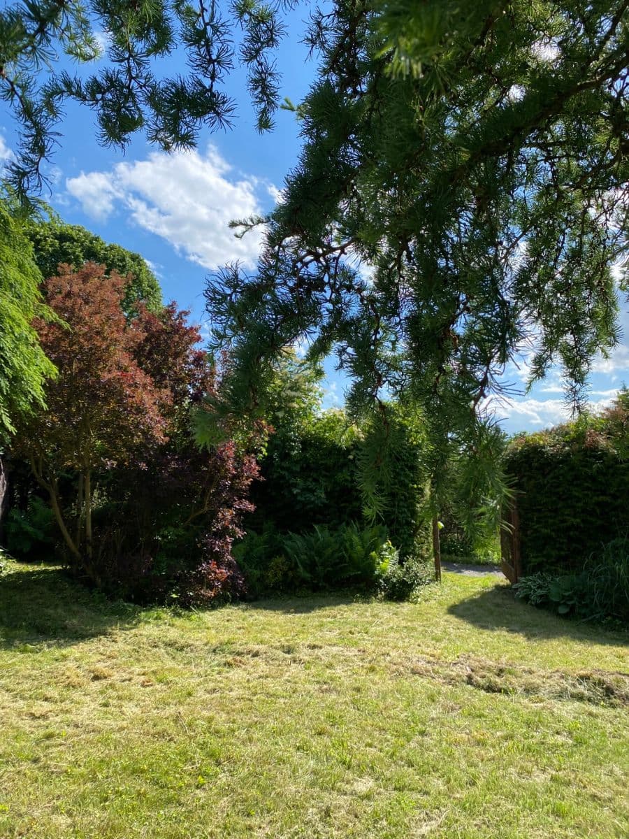 Prodej pozemku 449 m², Dolní Rožínka, Kraj Vysočina Prodej pozemku 449 m², Dolní Rožínka, Kraj Vysočina