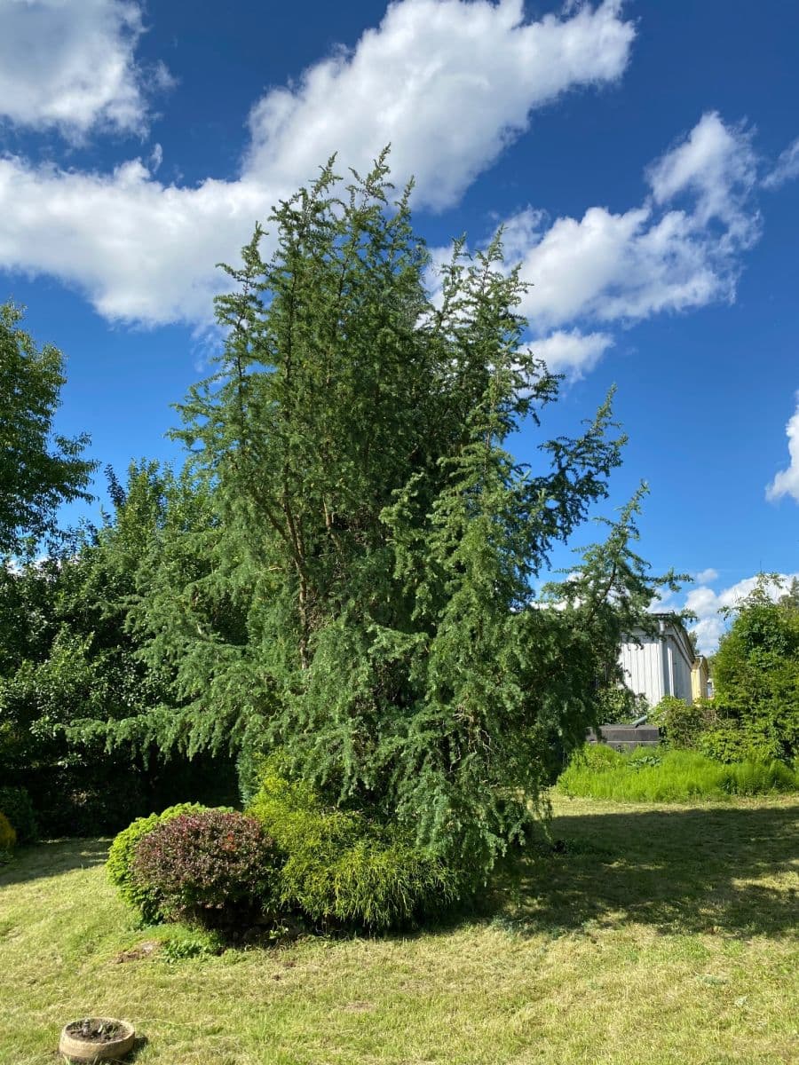 Prodej pozemku 449 m², Dolní Rožínka, Kraj Vysočina Prodej pozemku 449 m², Dolní Rožínka, Kraj Vysočina