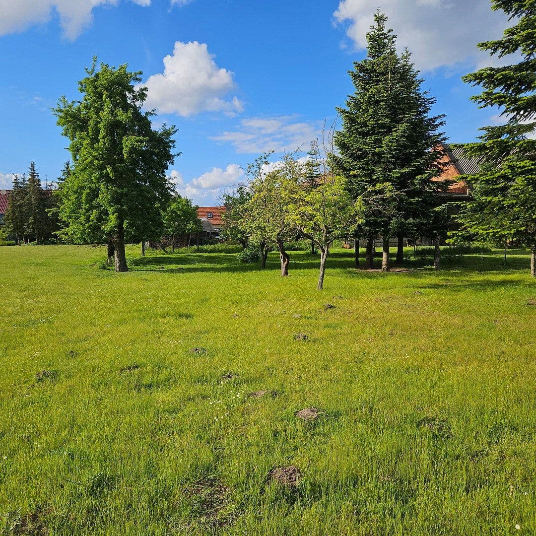 Prodej domu 150 m², pozemek 5.000 m², Dorfstraße 15, Jerichow, Sasko-Anhaltsko Prodej domu 150 m², pozemek 5.000 m², Dorfstraße 15, Jerichow, Sasko-Anhaltsko
