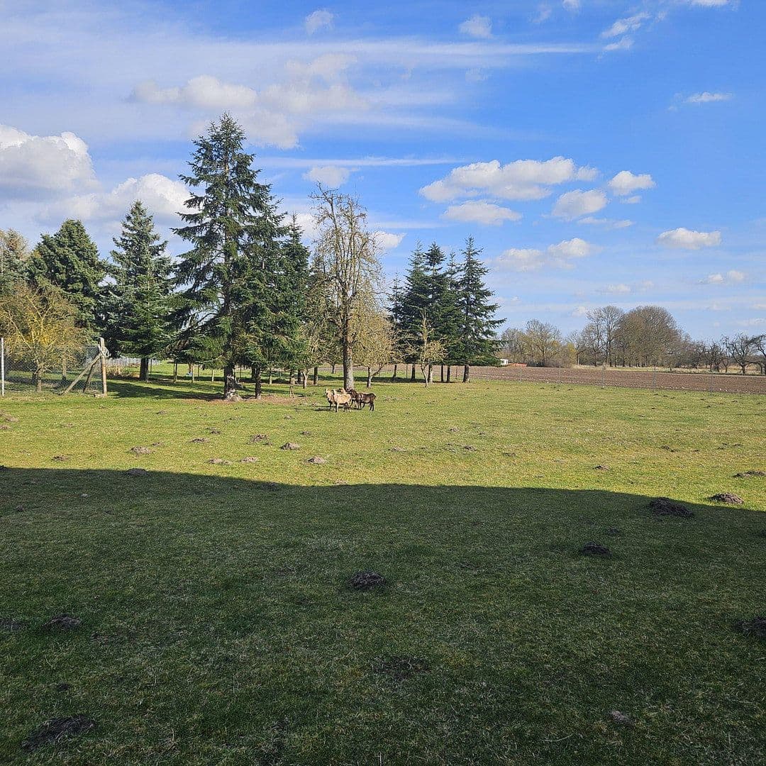 Prodej domu 150 m², pozemek 5.000 m², Dorfstraße 15, Jerichow, Sasko-Anhaltsko Prodej domu 150 m², pozemek 5.000 m², Dorfstraße 15, Jerichow, Sasko-Anhaltsko