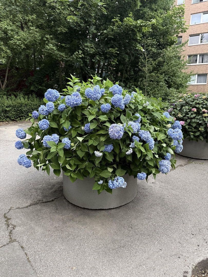 Prodej bytu 2+1 60 m², Holtenauer Straße 228, Kiel, Šlesvicko-Holštýnsko Prodej bytu 2+1 60 m², Holtenauer Straße 228, Kiel, Šlesvicko-Holštýnsko