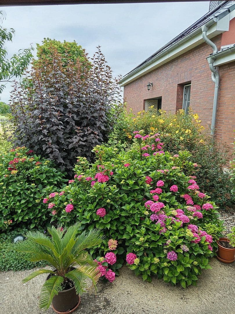 Prodej domu 477 m², pozemek 23.953 m², Averlak, Šlesvicko-Holštýnsko Prodej domu 477 m², pozemek 23.953 m², Averlak, Šlesvicko-Holštýnsko