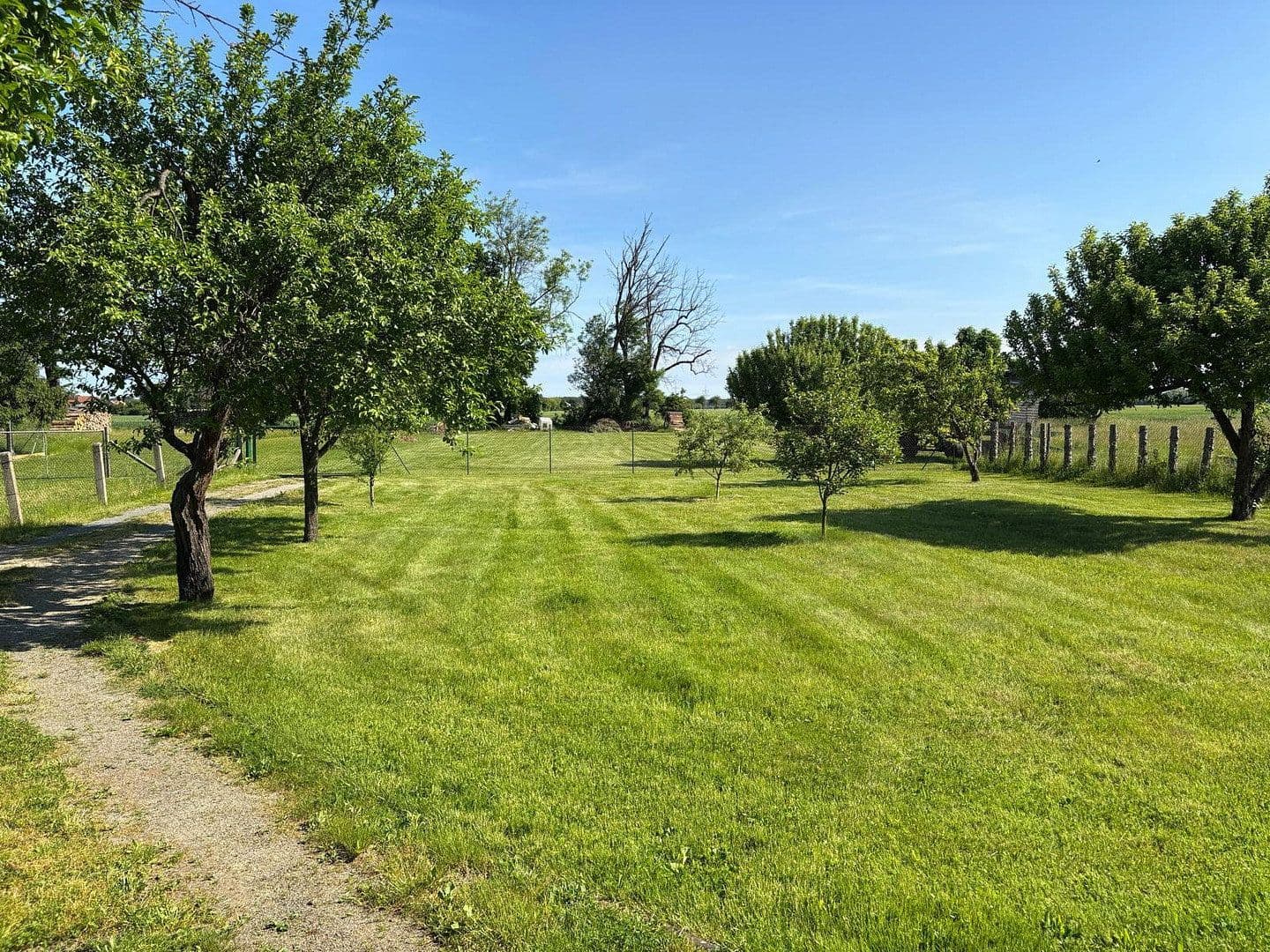 Prodej domu 245 m², pozemek 5.340 m², Schönewalde, Braniborsko Prodej domu 245 m², pozemek 5.340 m², Schönewalde, Braniborsko