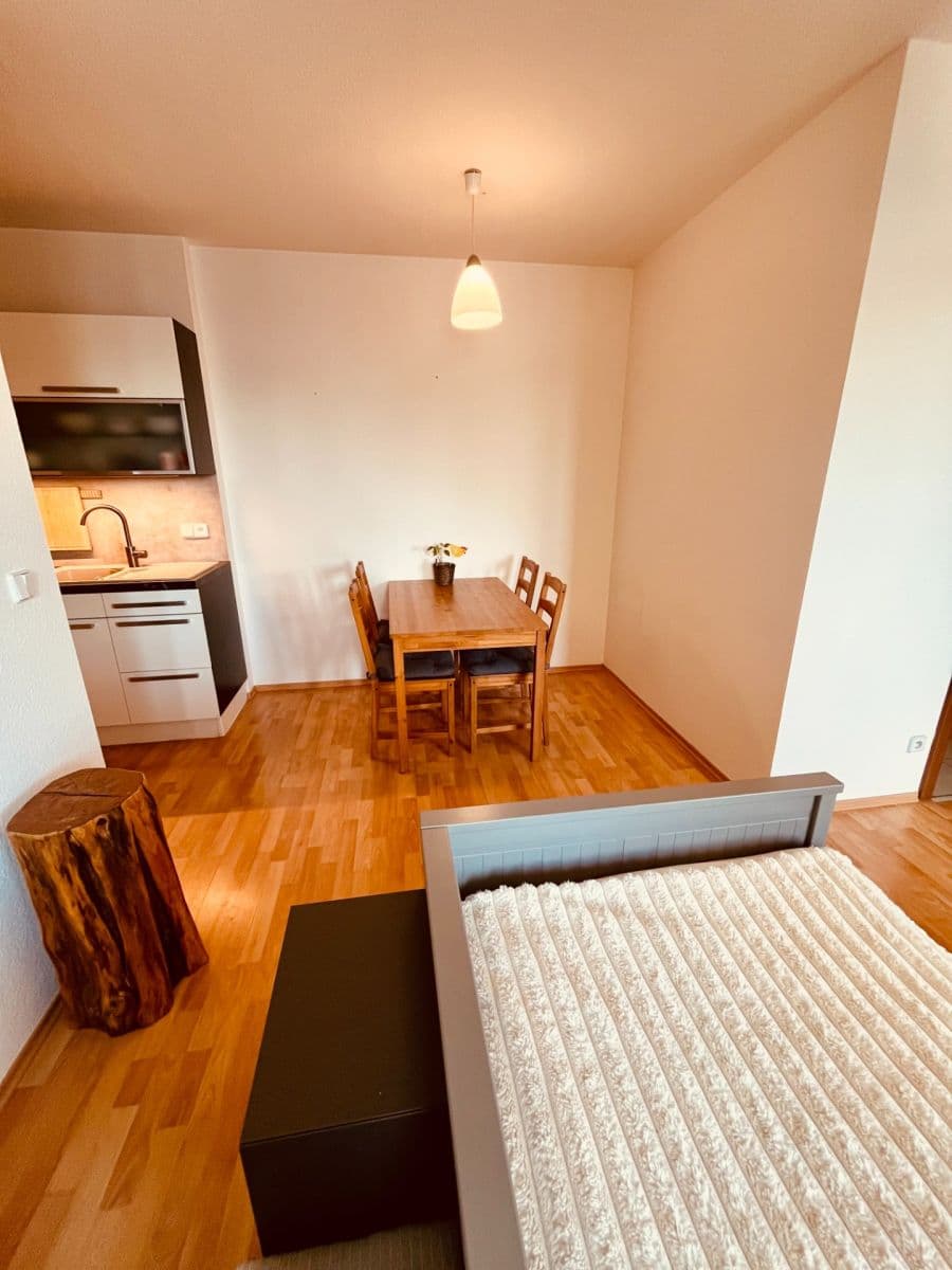 Pronájem bytu 2+kk 46 m², Vomáčkova, Brno, Jihomoravský kraj Pronájem bytu 2+kk 46 m², Vomáčkova, Brno, Jihomoravský kraj