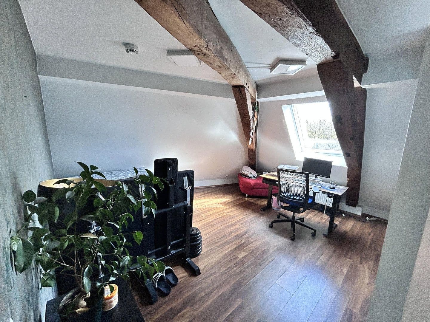 Prodej bytu 3+1 73 m², Spitalmauer 12, Paderborn, Severní Porýní-Vestfálsko Prodej bytu 3+1 73 m², Spitalmauer 12, Paderborn, Severní Porýní-Vestfálsko