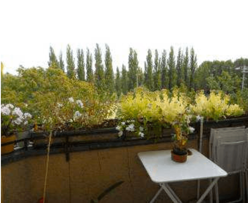 Prodej bytu 3+1 90 m², Transvaalstrasse 6, Berlin, Berlín Prodej bytu 3+1 90 m², Transvaalstrasse 6, Berlin, Berlín