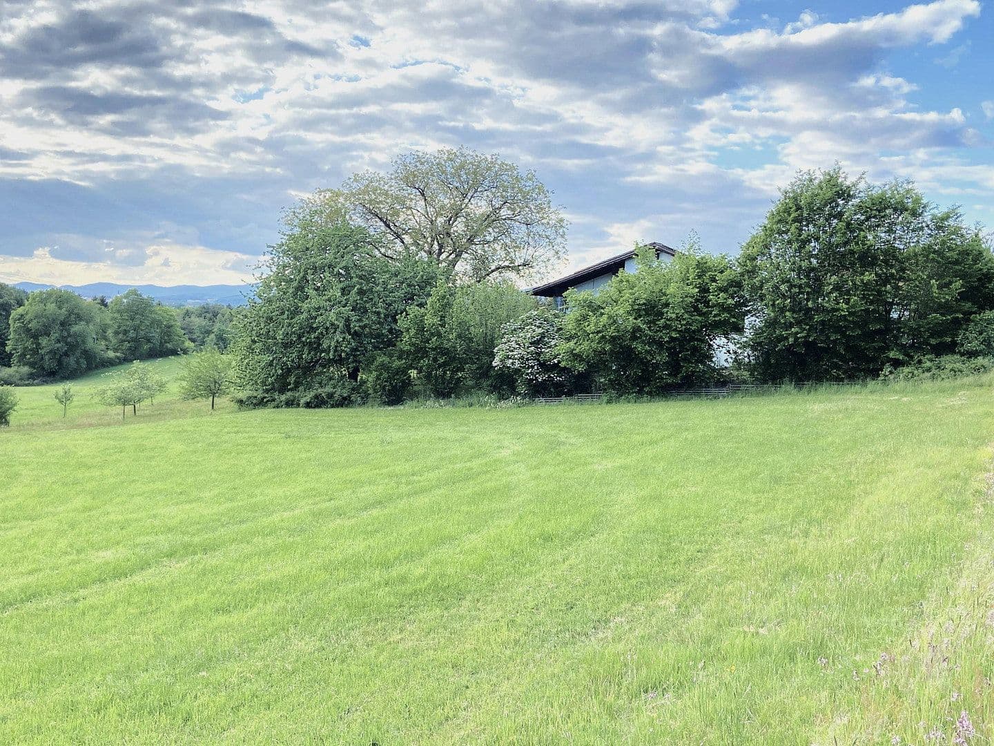 Prodej domu 189 m², pozemek 2.000 m², Fürstenstein, Bavorsko Prodej domu 189 m², pozemek 2.000 m², Fürstenstein, Bavorsko
