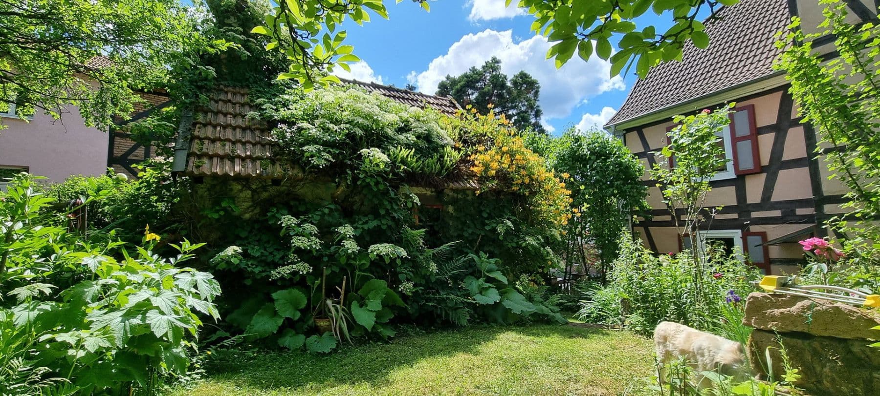 Prodej domu 240 m², pozemek 744 m², Biebergemünd, Hessen Prodej domu 240 m², pozemek 744 m², Biebergemünd, Hessen