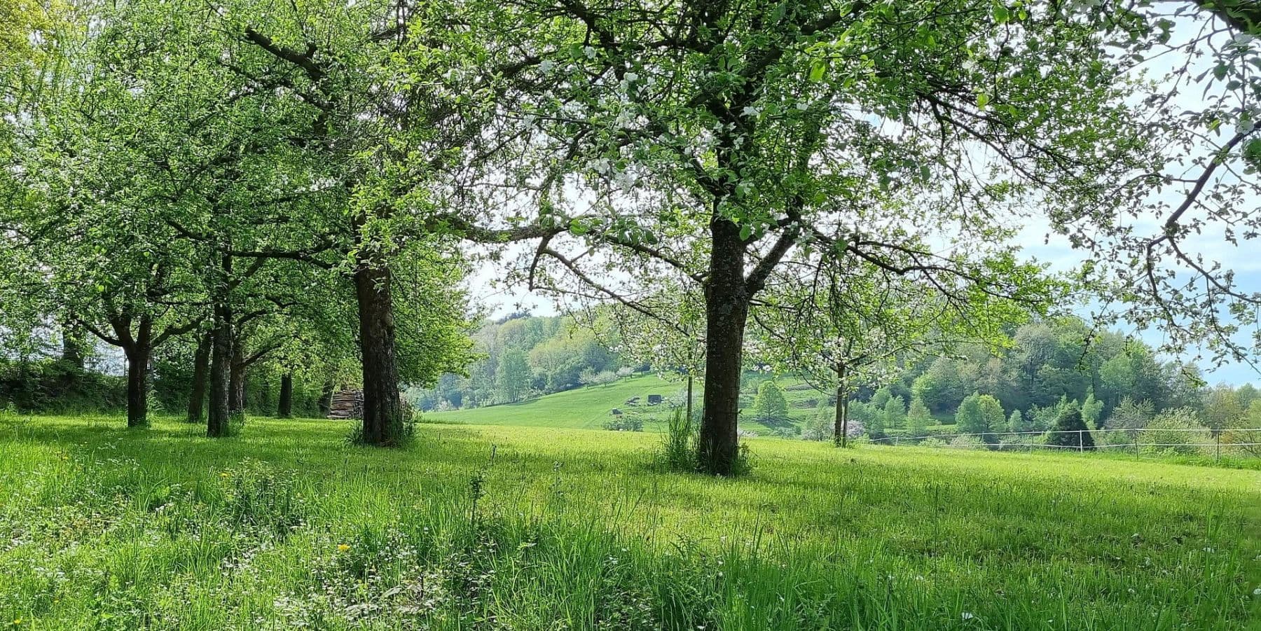 Prodej domu 240 m², pozemek 744 m², Biebergemünd, Hessen Prodej domu 240 m², pozemek 744 m², Biebergemünd, Hessen