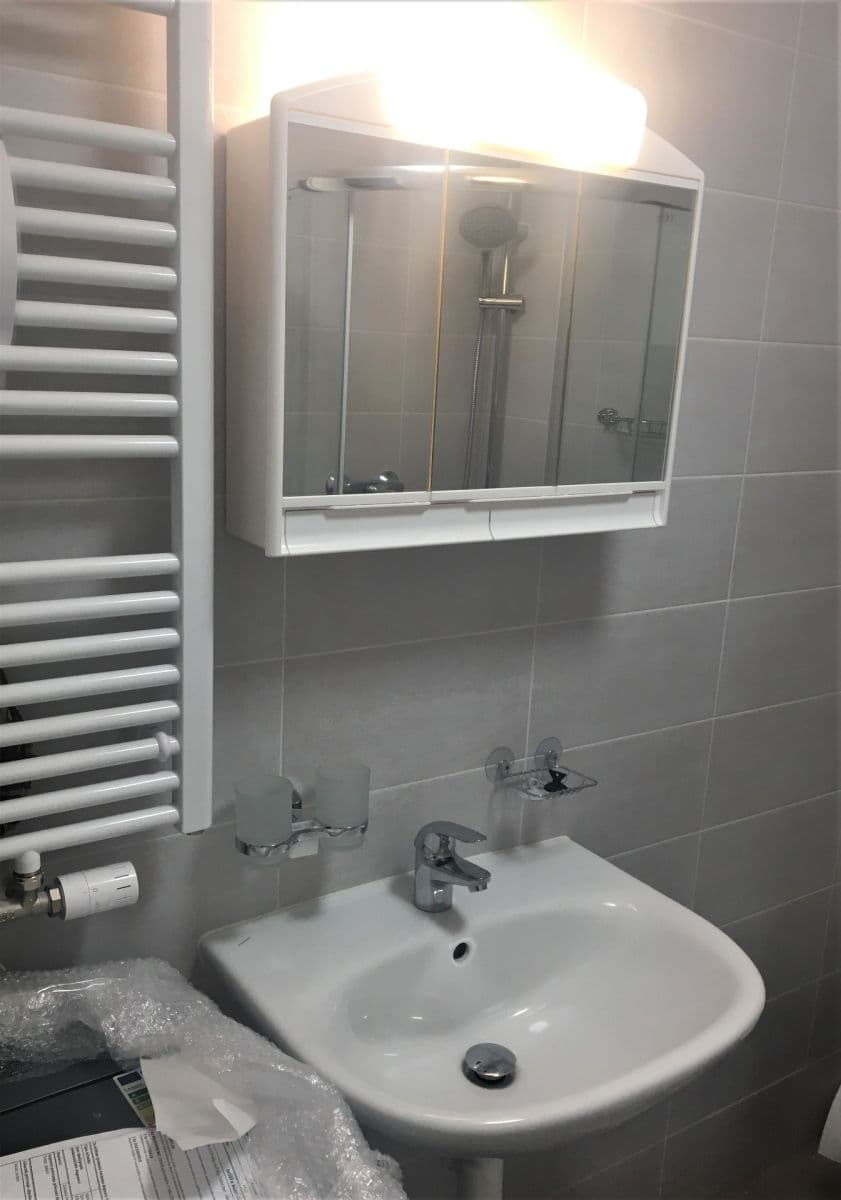 Pronájem bytu 1+kk 30 m², U Nového dvora, Praha, Praha Pronájem bytu 1+kk 30 m², U Nového dvora, Praha, Praha