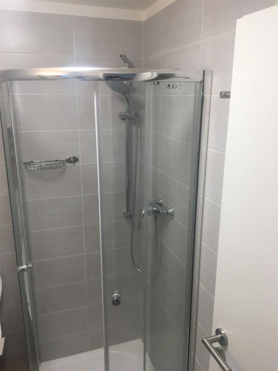 Pronájem bytu 1+kk 30 m², U Nového dvora, Praha, Praha Pronájem bytu 1+kk 30 m², U Nového dvora, Praha, Praha