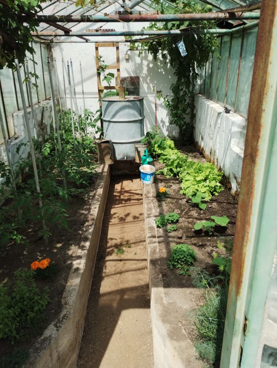 Prodej chaty, chalupy 16 m², pozemek 400 m², Chlum u Třeboně, Jihočeský kraj Prodej chaty, chalupy 16 m², pozemek 400 m², Chlum u Třeboně, Jihočeský kraj