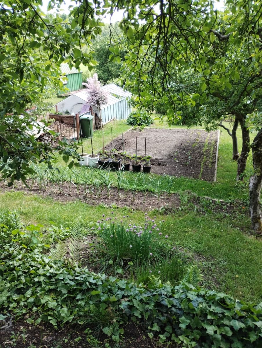 Prodej chaty, chalupy 16 m², pozemek 400 m², Chlum u Třeboně, Jihočeský kraj Prodej chaty, chalupy 16 m², pozemek 400 m², Chlum u Třeboně, Jihočeský kraj