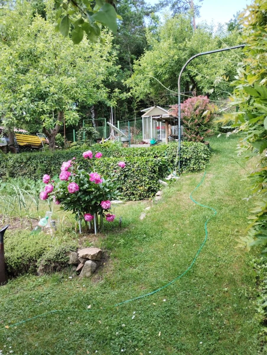 Prodej chaty, chalupy 16 m², pozemek 400 m², Chlum u Třeboně, Jihočeský kraj Prodej chaty, chalupy 16 m², pozemek 400 m², Chlum u Třeboně, Jihočeský kraj