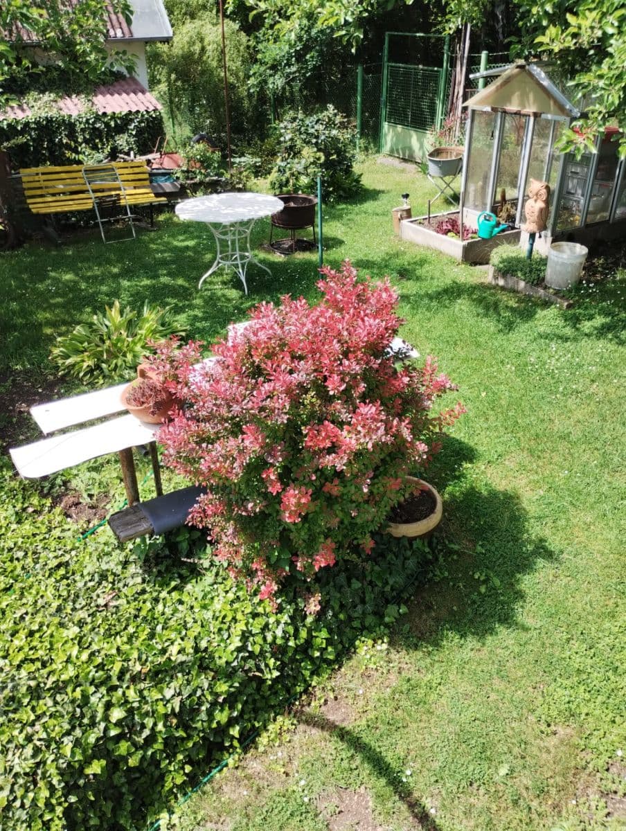 Prodej chaty, chalupy 16 m², pozemek 400 m², Chlum u Třeboně, Jihočeský kraj Prodej chaty, chalupy 16 m², pozemek 400 m², Chlum u Třeboně, Jihočeský kraj