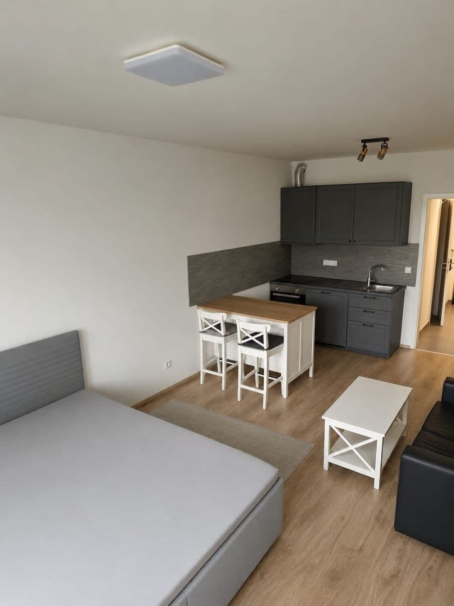 Pronájem bytu 1+kk 39 m², Štěchovická, Praha, Praha Pronájem bytu 1+kk 39 m², Štěchovická, Praha, Praha
