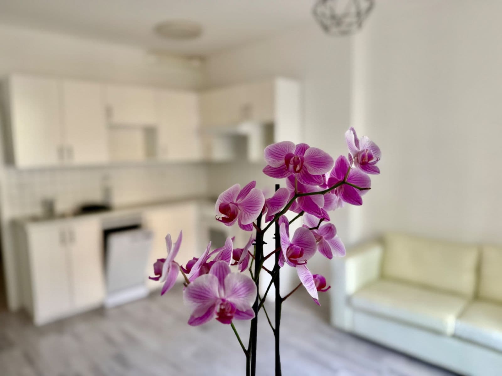 Pronájem bytu 2+kk 38 m², Žerotínova, Praha, Praha Pronájem bytu 2+kk 38 m², Žerotínova, Praha, Praha