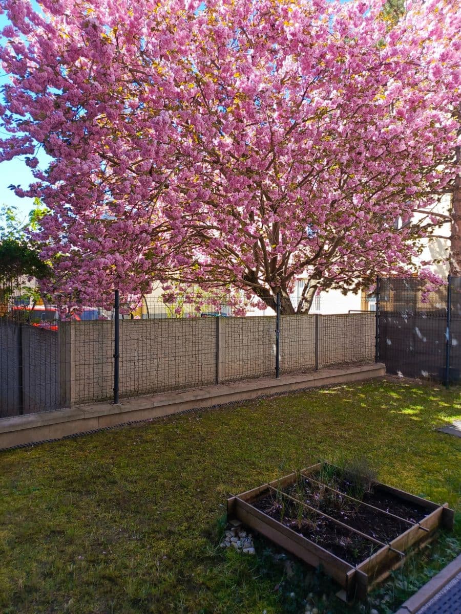 Pronájem bytu 1+kk 32 m², Třebohostická, Praha, Praha Pronájem bytu 1+kk 32 m², Třebohostická, Praha, Praha