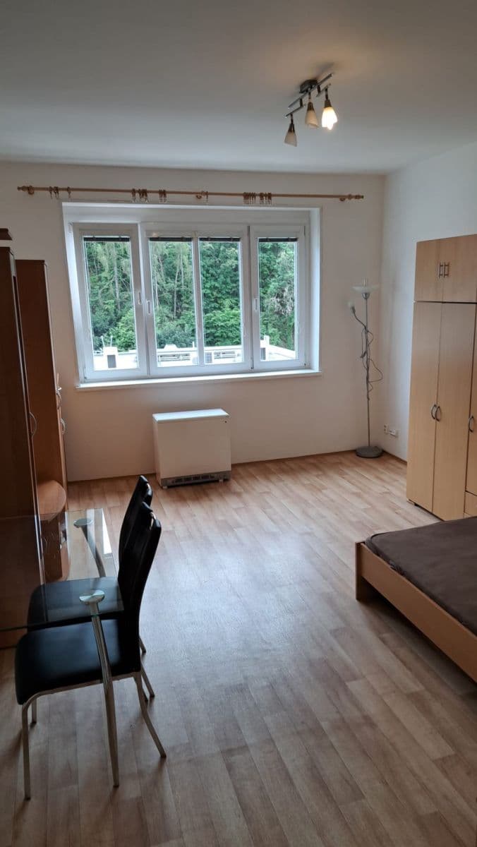 Pronájem bytu 1+kk 30 m², Vrchlického, Praha, Praha Pronájem bytu 1+kk 30 m², Vrchlického, Praha, Praha