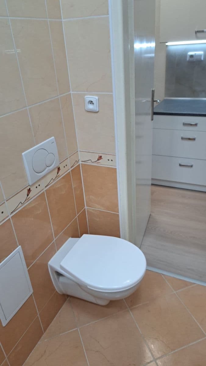 Pronájem bytu 1+kk 30 m², Vrchlického, Praha, Praha Pronájem bytu 1+kk 30 m², Vrchlického, Praha, Praha