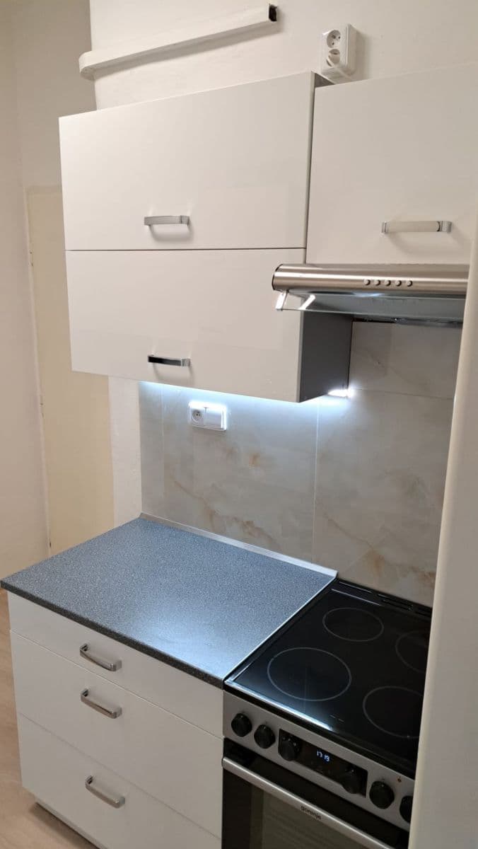 Pronájem bytu 1+kk 30 m², Vrchlického, Praha, Praha Pronájem bytu 1+kk 30 m², Vrchlického, Praha, Praha