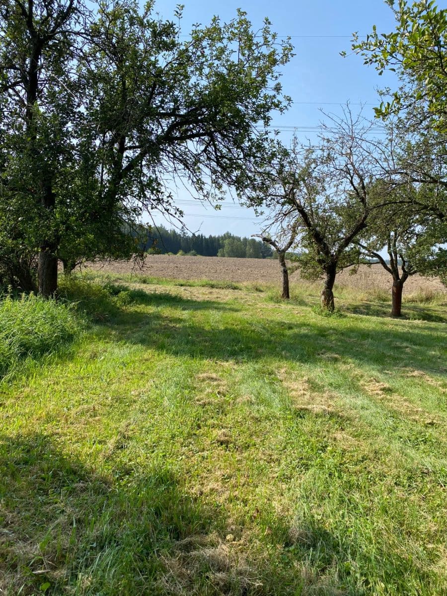 Prodej pozemku 3.359 m², Petrovice, Středočeský kraj Prodej pozemku 3.359 m², Petrovice, Středočeský kraj