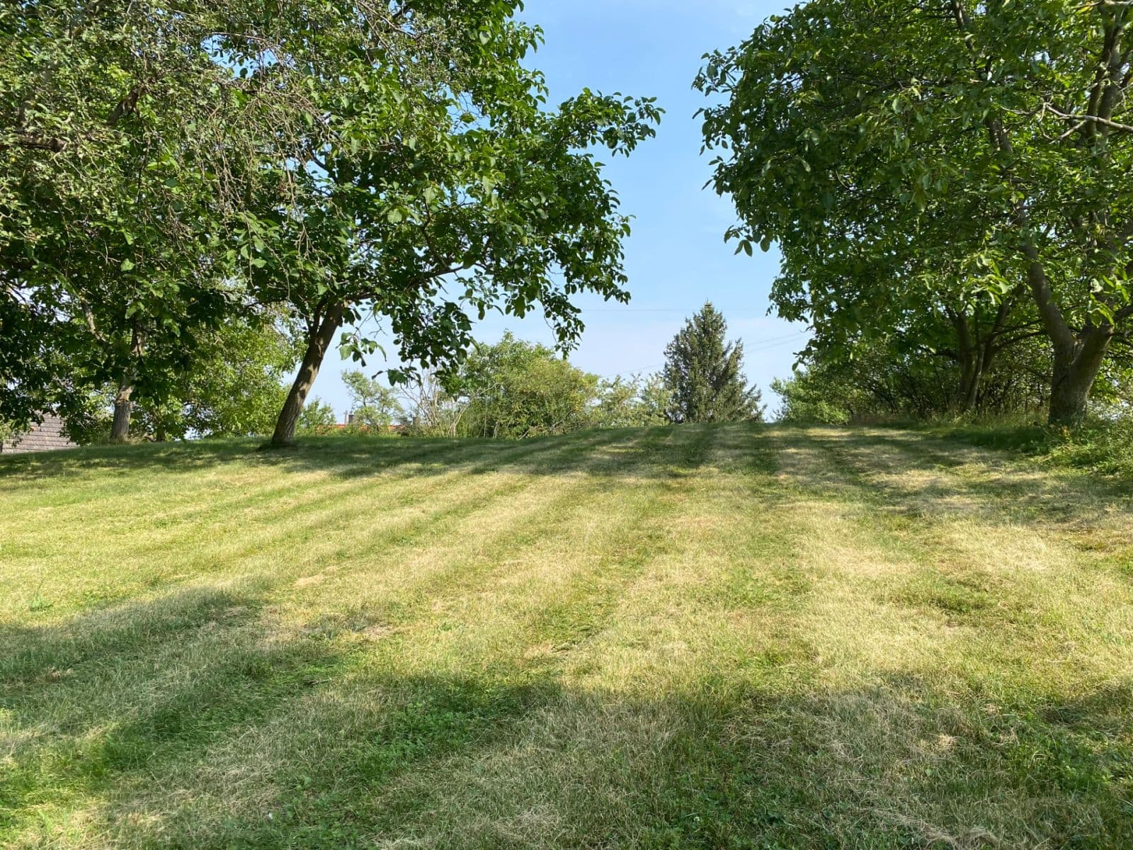 Prodej pozemku 3.359 m², Petrovice, Středočeský kraj Prodej pozemku 3.359 m², Petrovice, Středočeský kraj