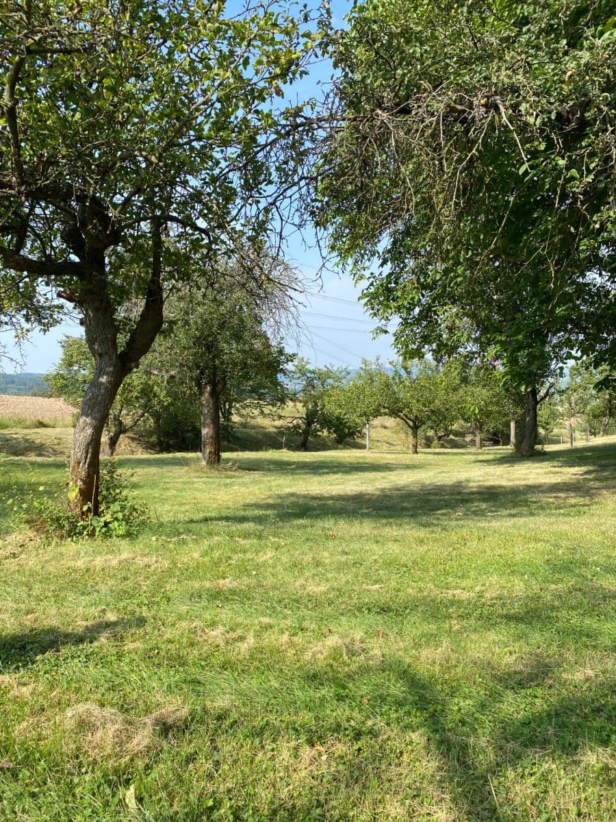 Prodej pozemku 3.359 m², Petrovice, Středočeský kraj Prodej pozemku 3.359 m², Petrovice, Středočeský kraj