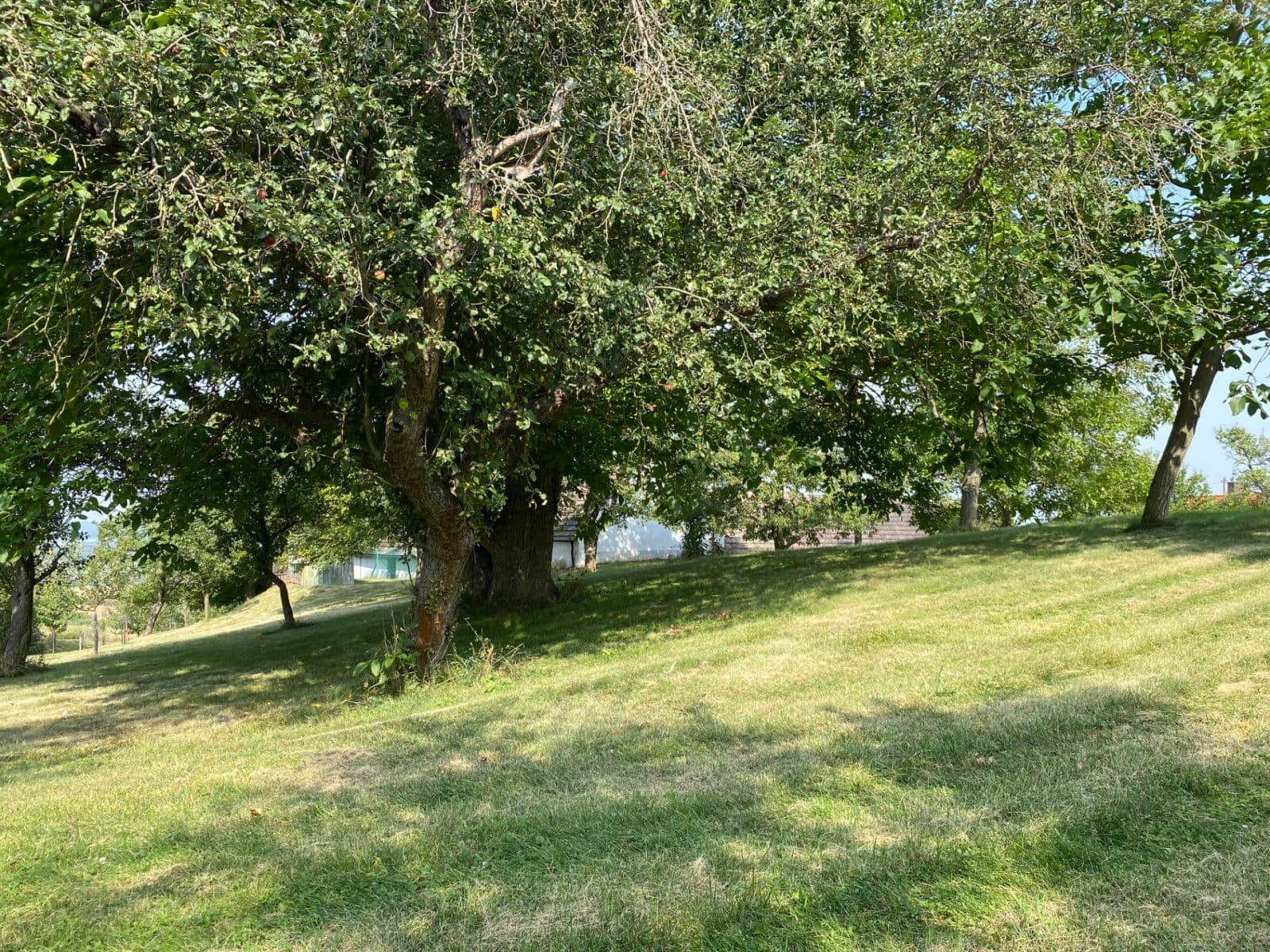 Prodej pozemku 3.359 m², Petrovice, Středočeský kraj Prodej pozemku 3.359 m², Petrovice, Středočeský kraj