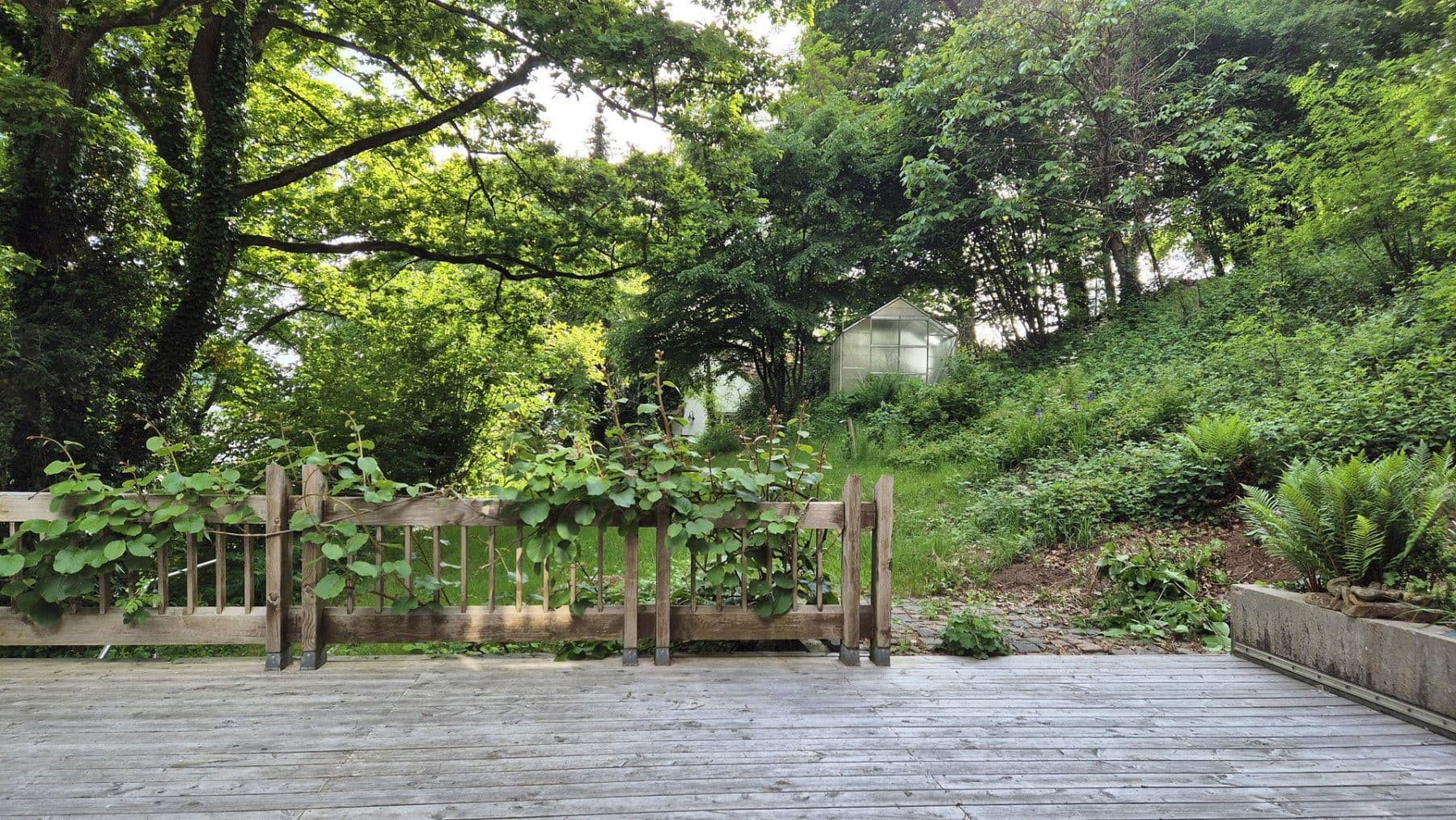 Prodej domu 214 m², pozemek 6.250 m², Otterberg, Porýní-Falc Prodej domu 214 m², pozemek 6.250 m², Otterberg, Porýní-Falc