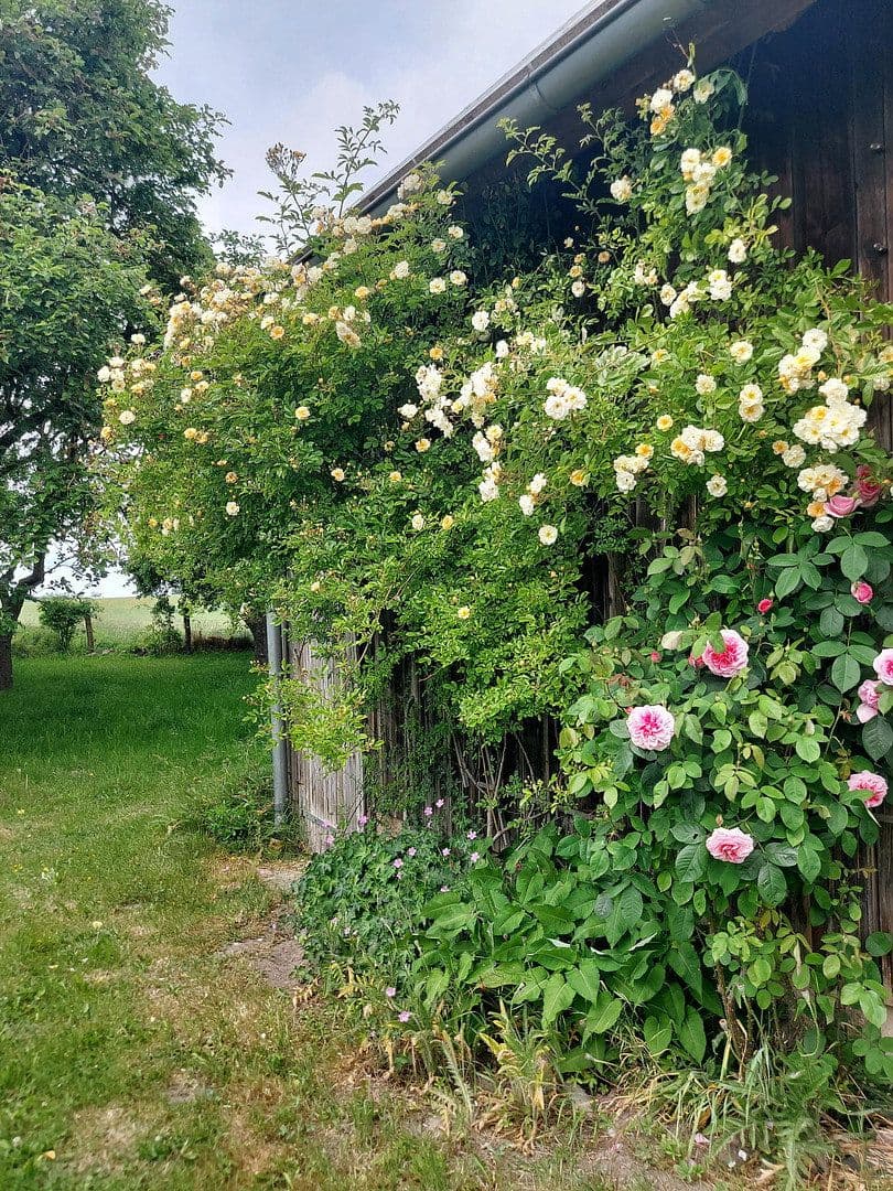 Prodej domu 215 m², pozemek 1.500 m², Dassow, Mecklenburg-Vorpommern Prodej domu 215 m², pozemek 1.500 m², Dassow, Mecklenburg-Vorpommern