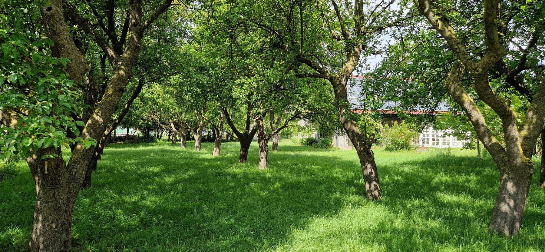 Prodej domu 215 m², pozemek 1.500 m², Dassow, Mecklenburg-Vorpommern Prodej domu 215 m², pozemek 1.500 m², Dassow, Mecklenburg-Vorpommern