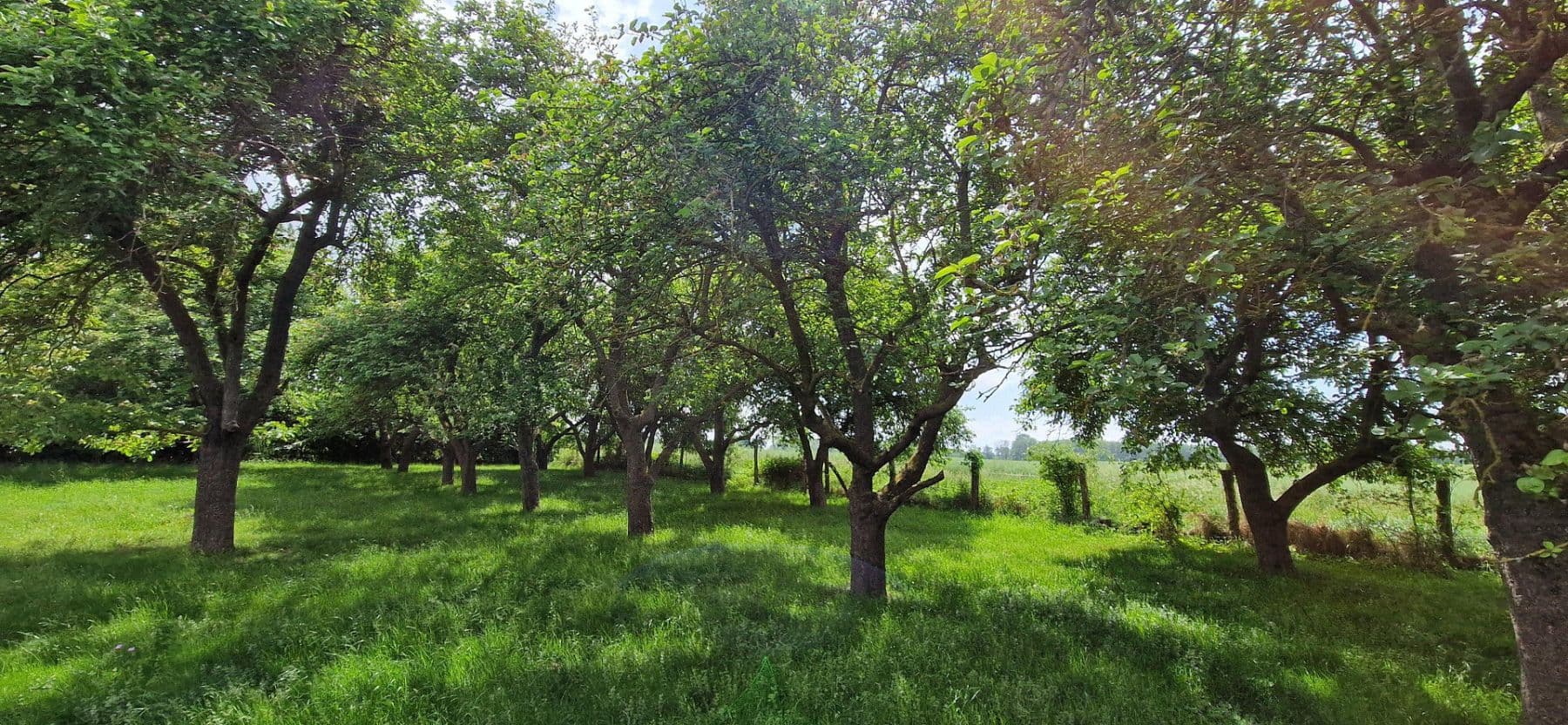 Prodej domu 215 m², pozemek 1.500 m², Dassow, Mecklenburg-Vorpommern Prodej domu 215 m², pozemek 1.500 m², Dassow, Mecklenburg-Vorpommern