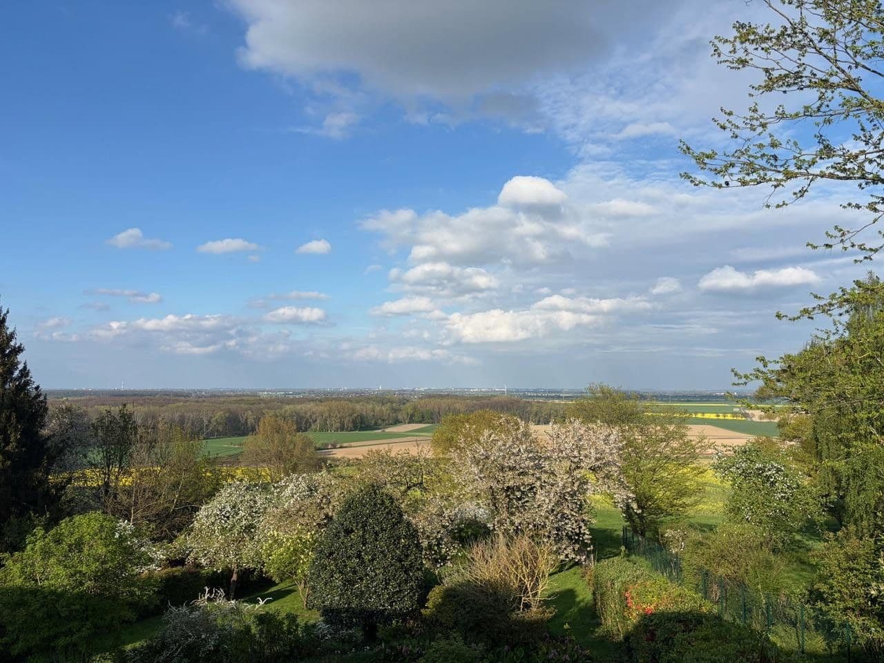 Prodej domu 300 m², pozemek 1.667 m², Springe, Dolní Sasko Prodej domu 300 m², pozemek 1.667 m², Springe, Dolní Sasko