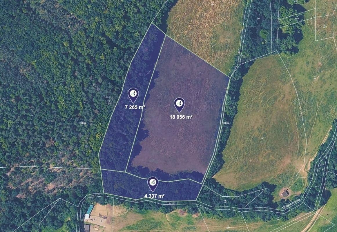 Prodej pozemku 30.558 m², Bojanovice, Středočeský kraj Prodej pozemku 30.558 m², Bojanovice, Středočeský kraj