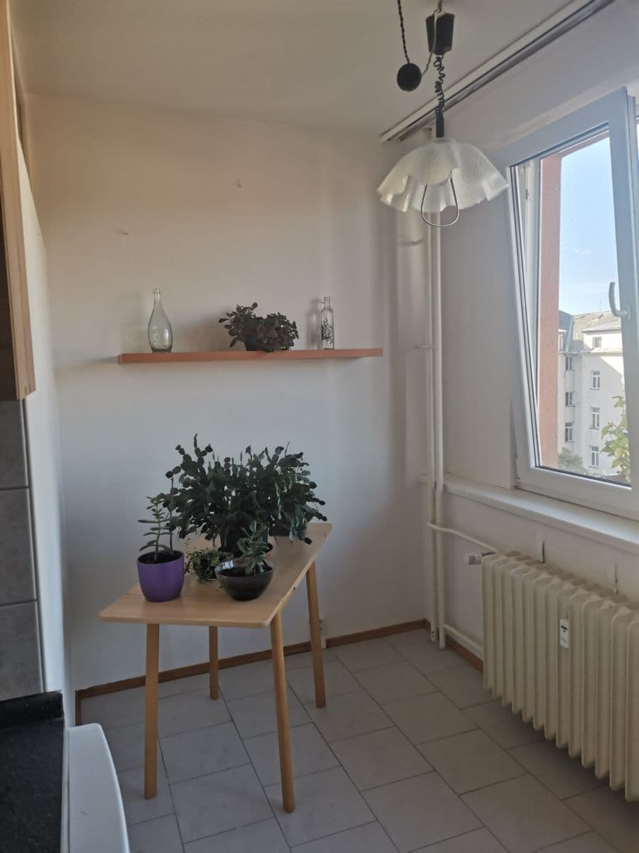 Pronájem bytu 3+1 74 m², Puklicova, České Budějovice, Jihočeský kraj Pronájem bytu 3+1 74 m², Puklicova, České Budějovice, Jihočeský kraj