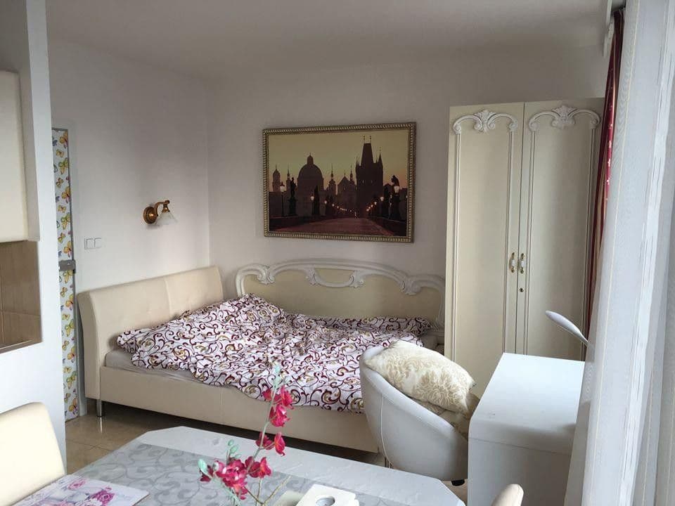 Pronájem bytu Garsoniéra 40 m², Plamínkové, Praha, Praha Pronájem bytu Garsoniéra 40 m², Plamínkové, Praha, Praha