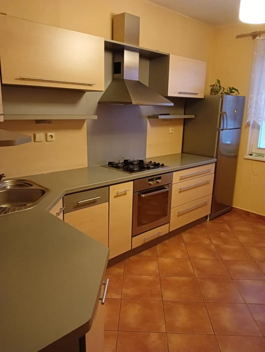 Pronájem bytu 1+1 40 m², Dvořákova, Přerov, Olomoucký kraj Pronájem bytu 1+1 40 m², Dvořákova, Přerov, Olomoucký kraj