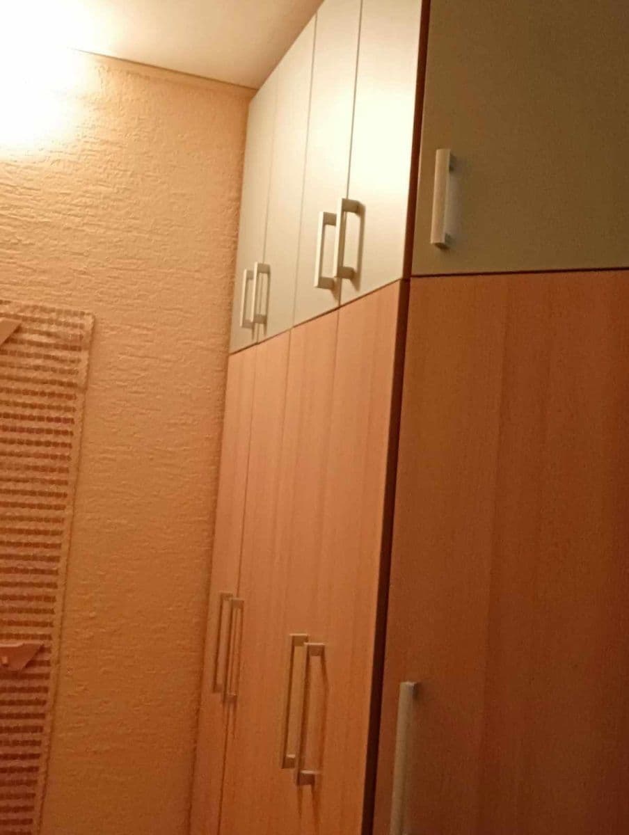 Pronájem bytu 1+1 40 m², Dvořákova, Přerov, Olomoucký kraj Pronájem bytu 1+1 40 m², Dvořákova, Přerov, Olomoucký kraj