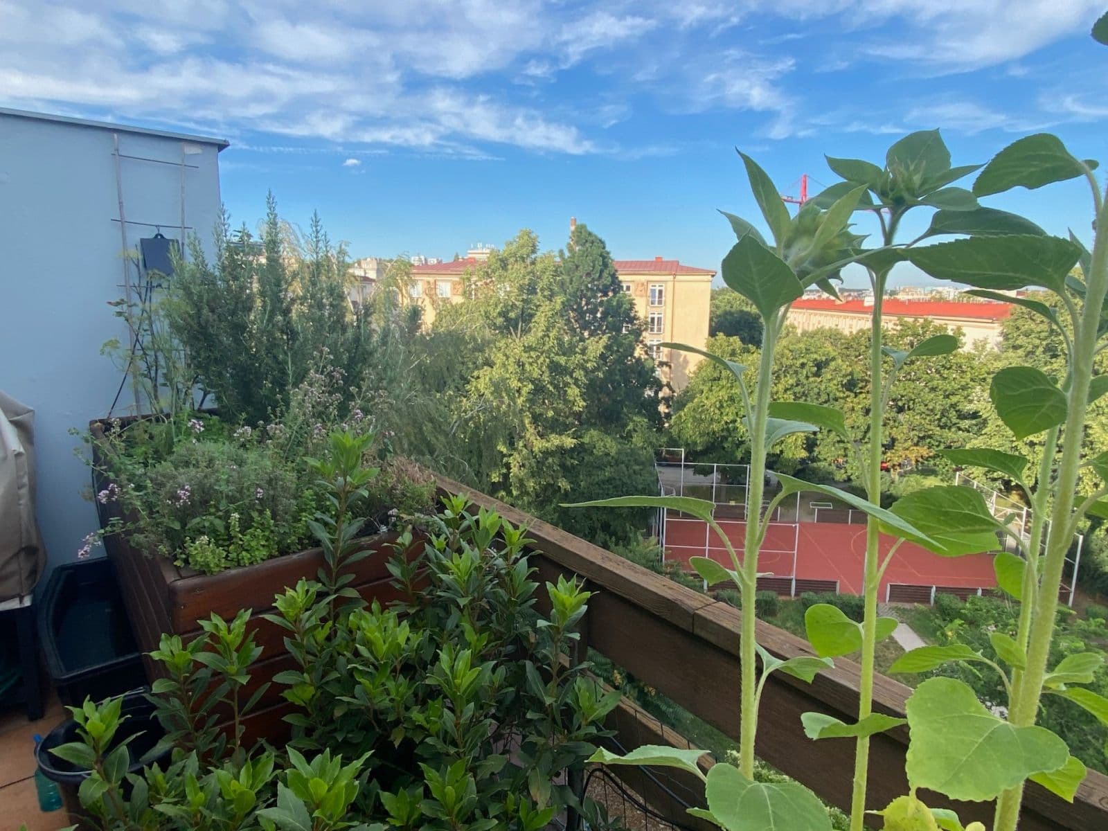 Prodej bytu 3+1 76 m², Jakutská, Praha, Praha Prodej bytu 3+1 76 m², Jakutská, Praha, Praha
