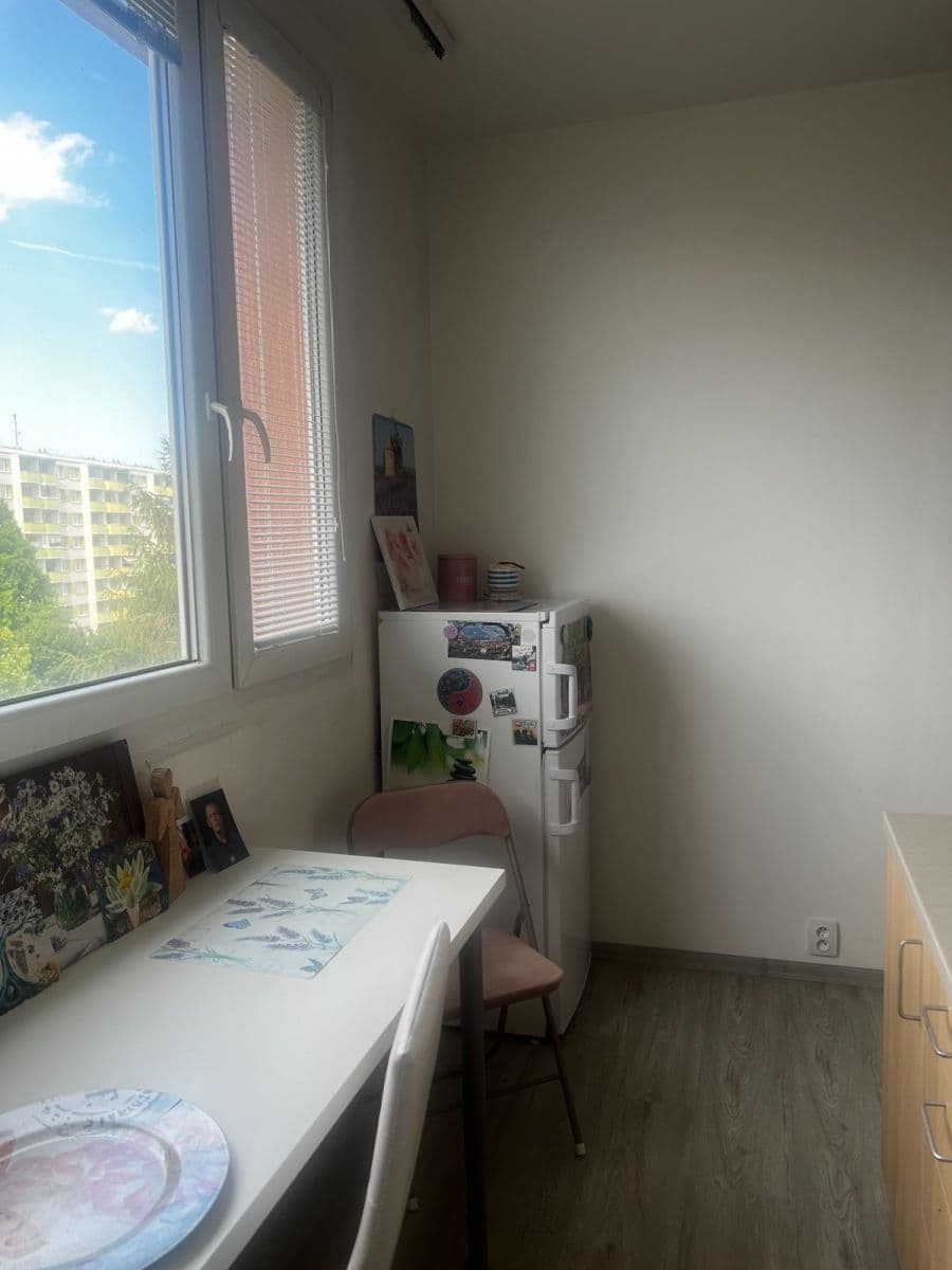 Pronájem bytu 2+1 55 m², Slavíčkova, Brno, Jihomoravský kraj Pronájem bytu 2+1 55 m², Slavíčkova, Brno, Jihomoravský kraj