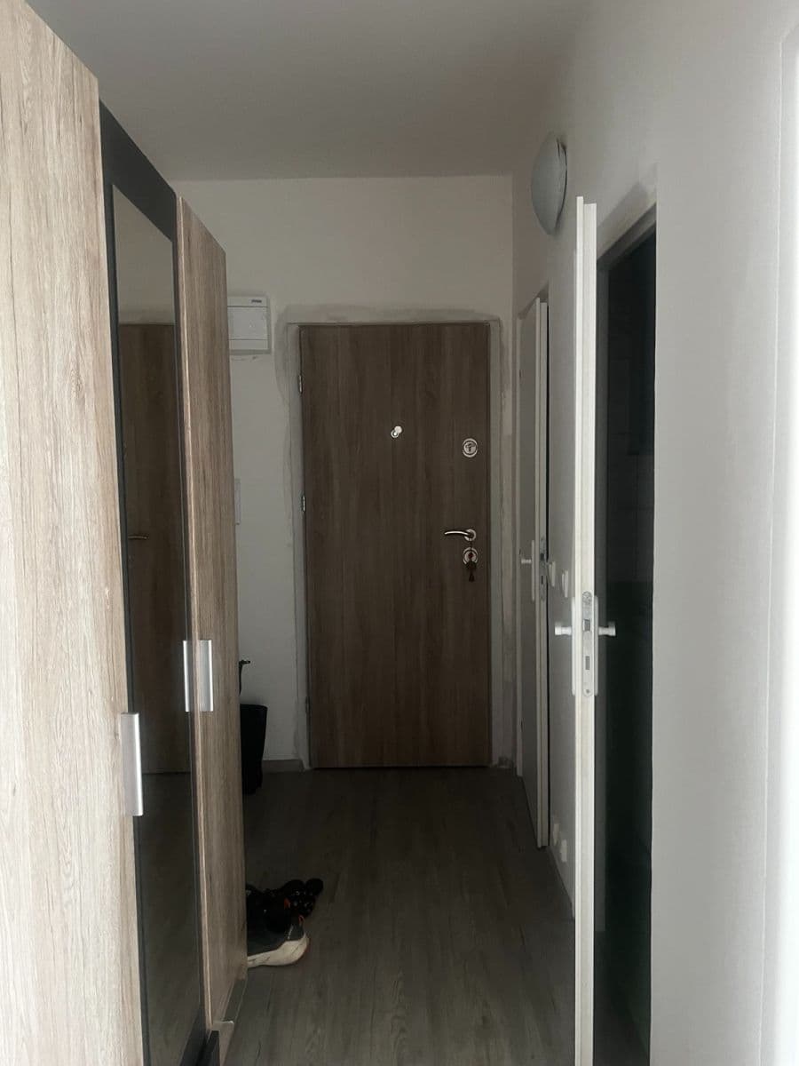 Pronájem bytu 2+1 55 m², Slavíčkova, Brno, Jihomoravský kraj Pronájem bytu 2+1 55 m², Slavíčkova, Brno, Jihomoravský kraj