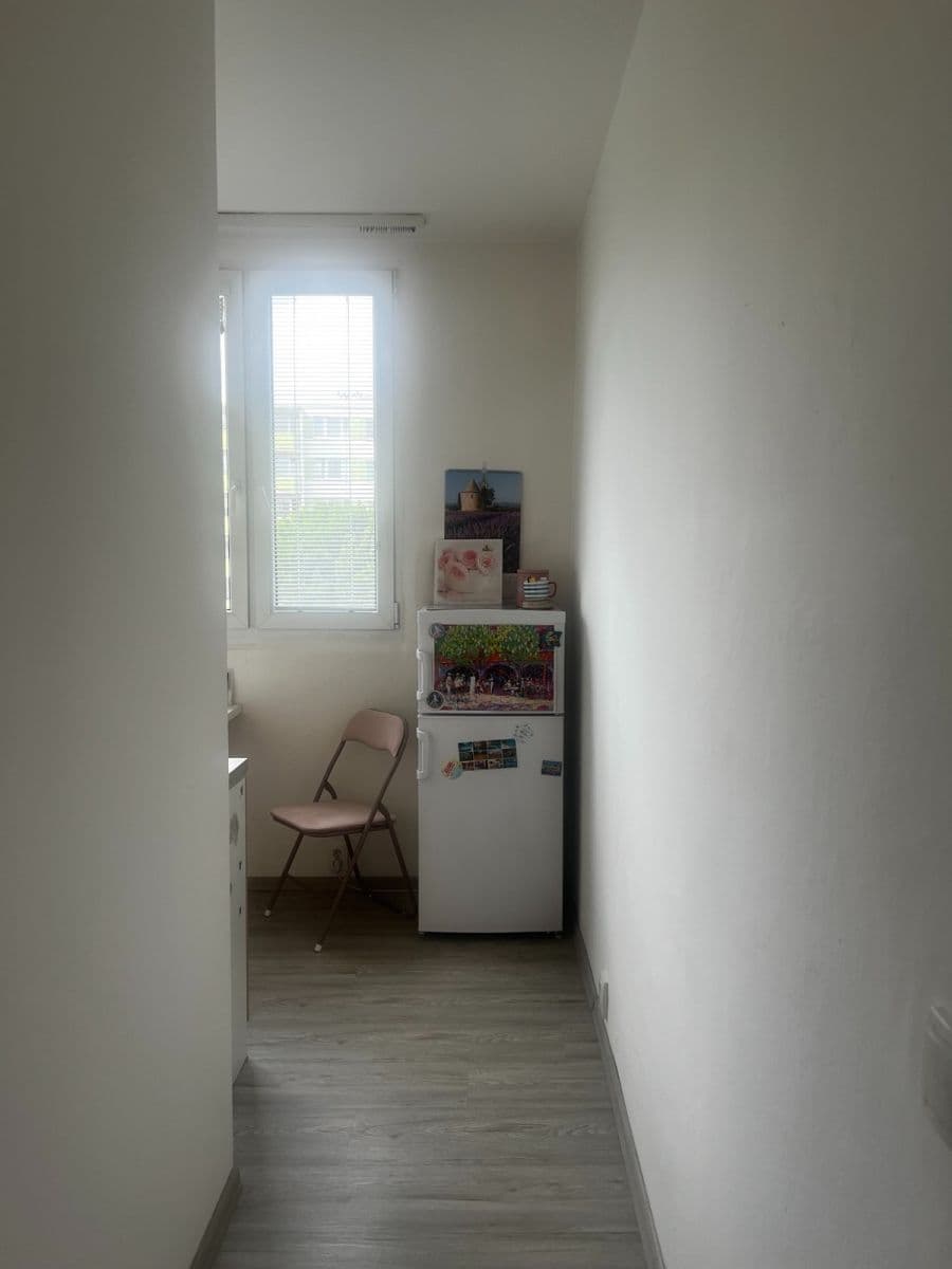 Pronájem bytu 2+1 55 m², Slavíčkova, Brno, Jihomoravský kraj Pronájem bytu 2+1 55 m², Slavíčkova, Brno, Jihomoravský kraj